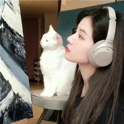 玉屏风