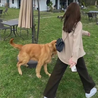 入黑之时